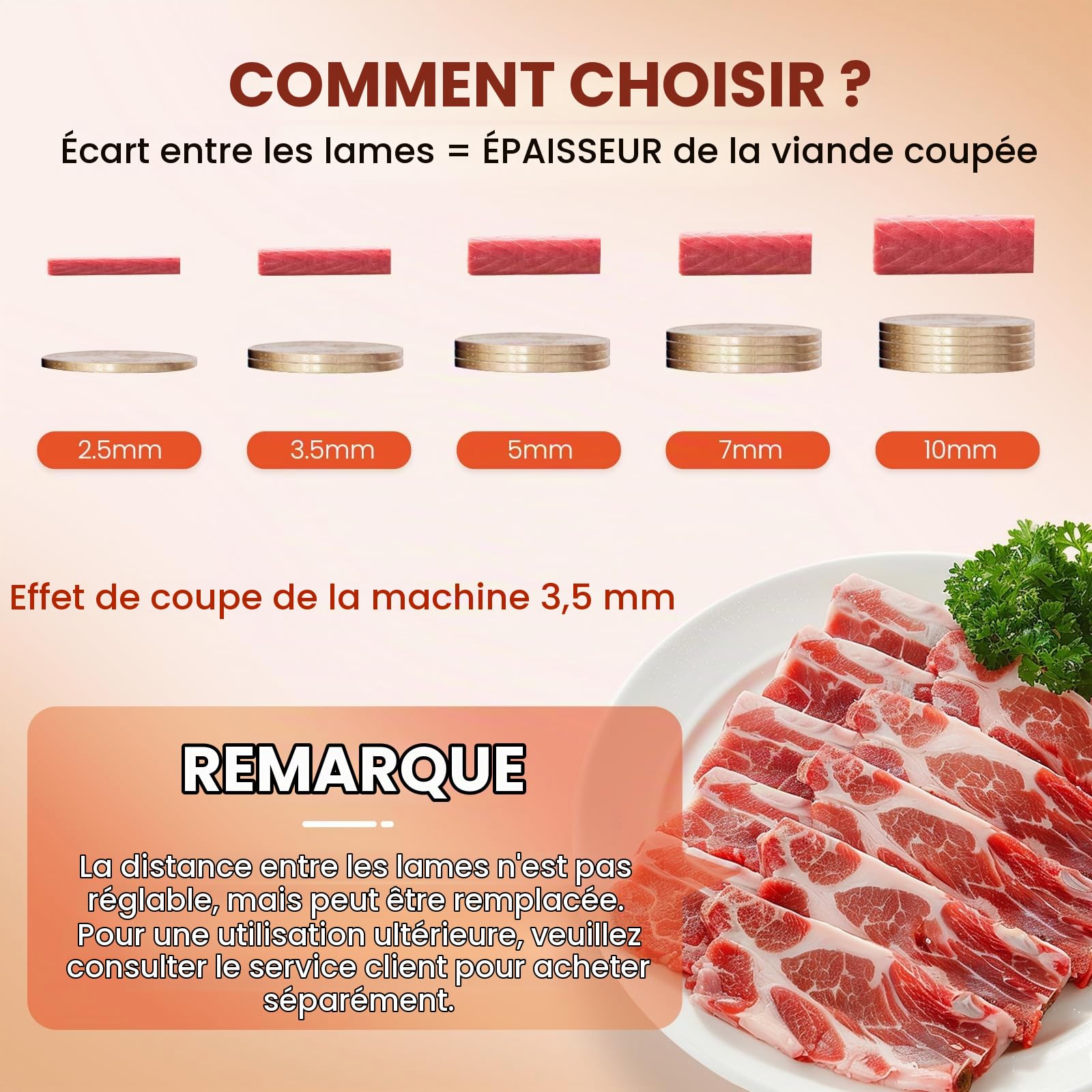 NEWTRY Trancheuse à viande commerciale 10mm 160kg/h pour Gastro | Acier inoxydable, moteur puissant, facile à nettoyer, haute efficacité, durable, polyvalent pour restaurants, traiteurs