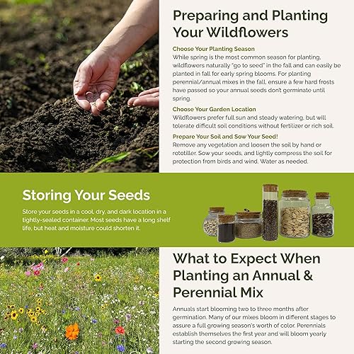 Miniatura 5 de Mezcla de semillas de flores silvestres de Nueva York, 1 libra, semillas mixtas de flores silvestres, atrae abejas, atrae mariposas, atrae