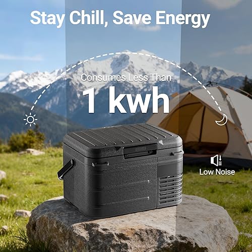 Miniatura 6 de Refrigerador de coche de 12 voltios, 11 cuartos (10 L) -4 F  68 F, doble potencia 1224 V CC y 110-240 V CA, enfriador alimentado por batería,