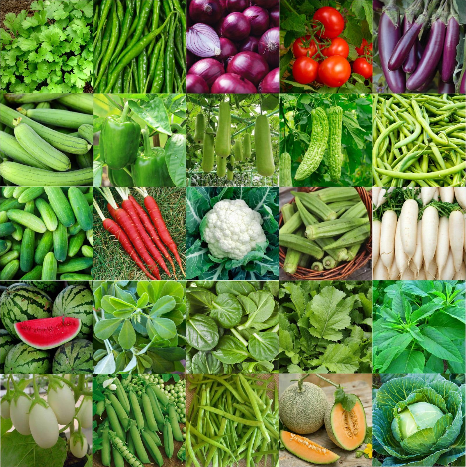 Agrey combo of 25 variety vegetable seeds with instruction manual. (B0CGNQVKXJ) Amazon Price History, Amazon Price Tracker