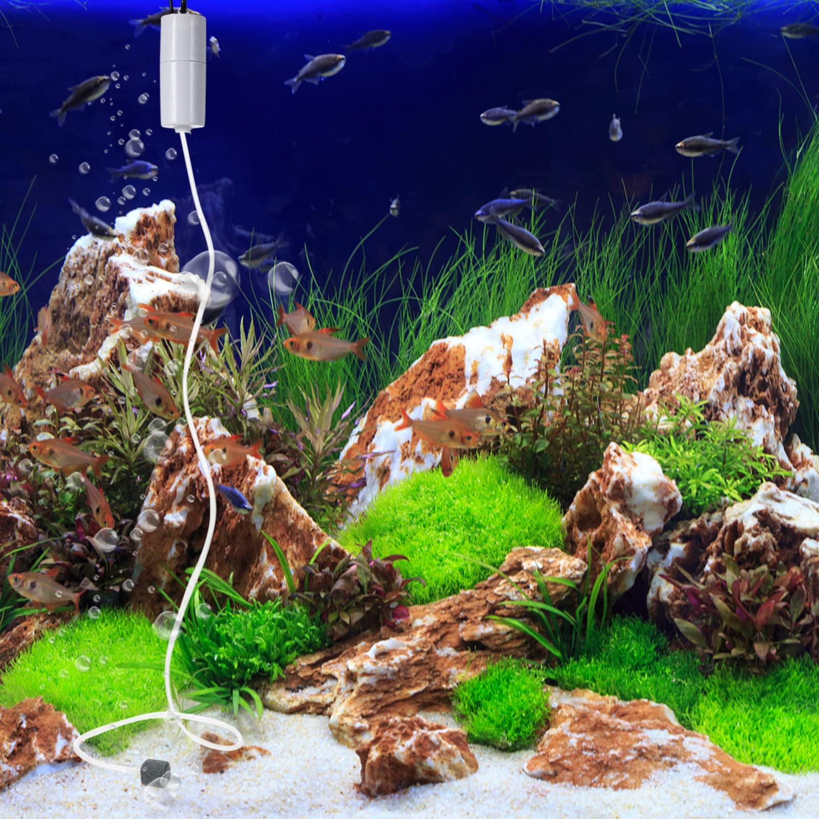 Bomba de Aire para Acuario, Bomba de oxígeno, Bomba de aireación silenciosa, Tanque de Peces pequeño, Bomba de oxígeno para Acuario