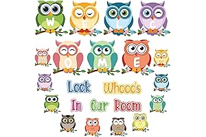 Owl Bulletin Board Set