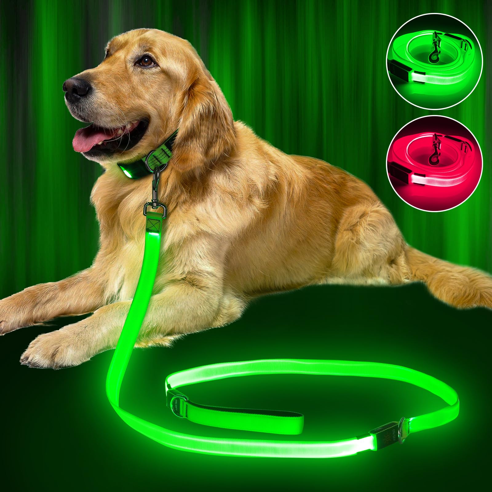 Laisse lumineuse chien évite les dangers de la nuit nylon vert rechargeable