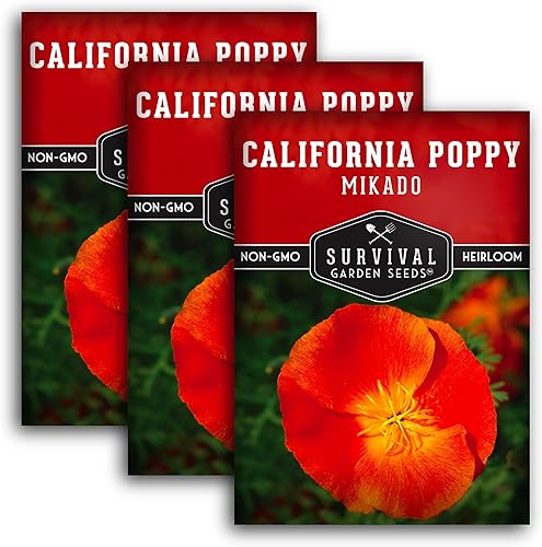 Paquete de 3 semillas de amapola Mikado California para plantar, paquete con instrucciones para cultivar amapolas rojas en tu huerto casero,