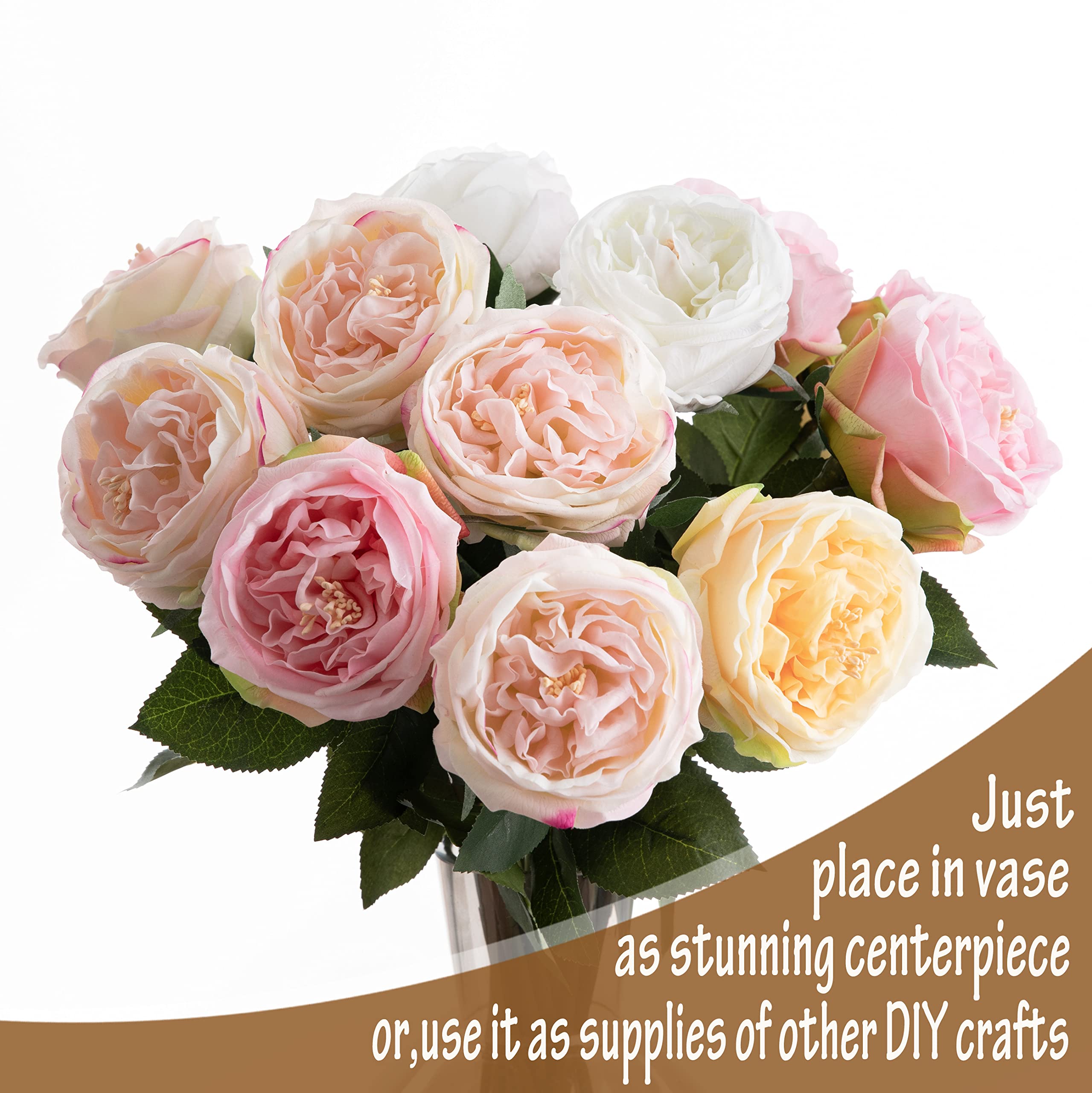 Cn-Knight 6 Pack Artificial David Austin Roses | 24 Inch Long Stem Silk Flowers | Real Touch Champagne Roses For Wedding, Home Decor