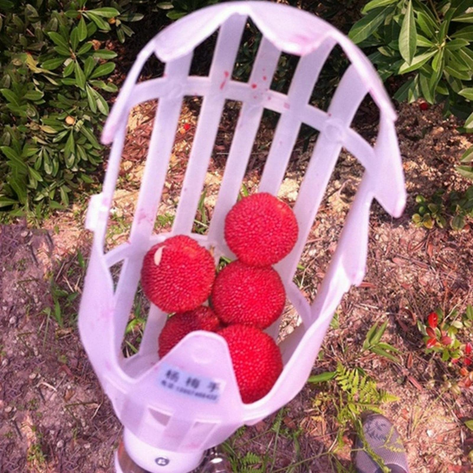 Fruit Picker Basket Head, 1Pc Fruits Catcher Tree Picker Fruit Picking Tool for Getting Fruits(Pole Not Included), Fruit Grabber Easy to Assemble(White)