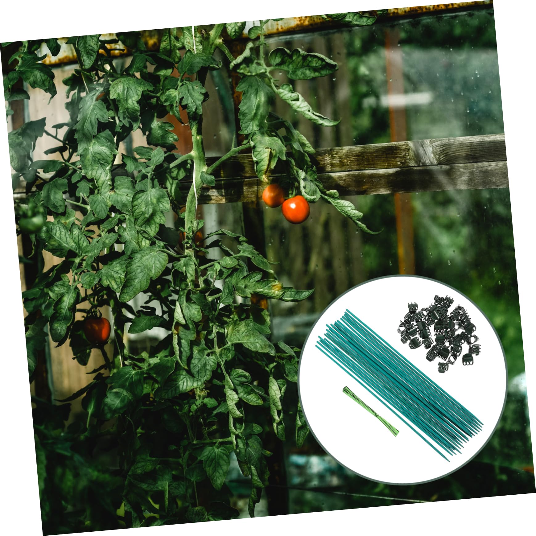 TOYANDONA Lot De 4 Tuteurs pour Plantes De Jardin Supports pour Plantes D'Intérieur Et D'Extérieur pour Compositions en Plastique