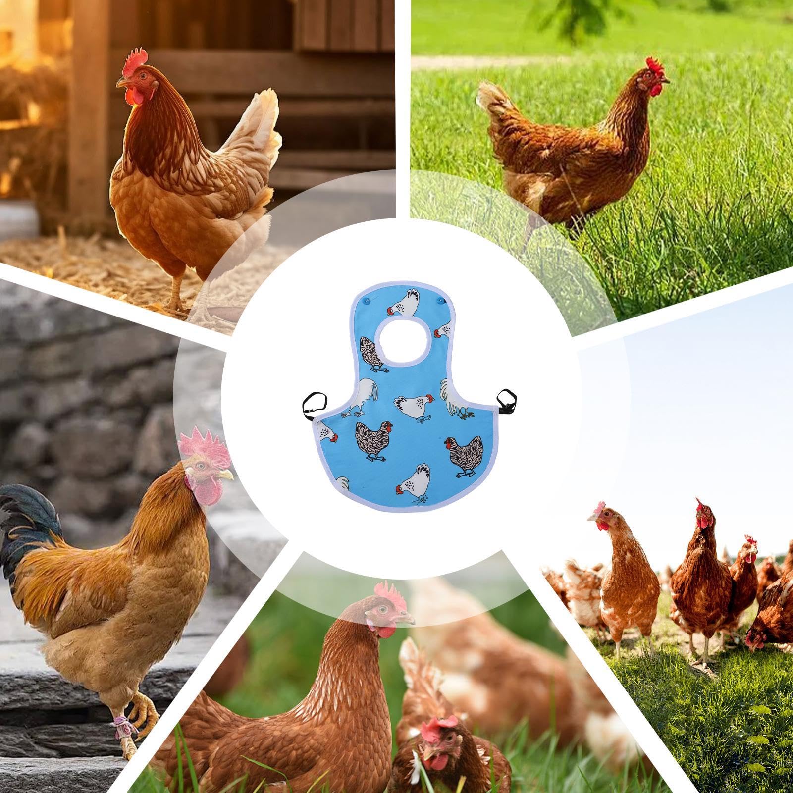 Sillín de gallina – Delantales de gallina | Protector de espalda de alas | Protector de pollo transpirable para picar gallinas | Protector de pollos con banda elástica para granja en casa