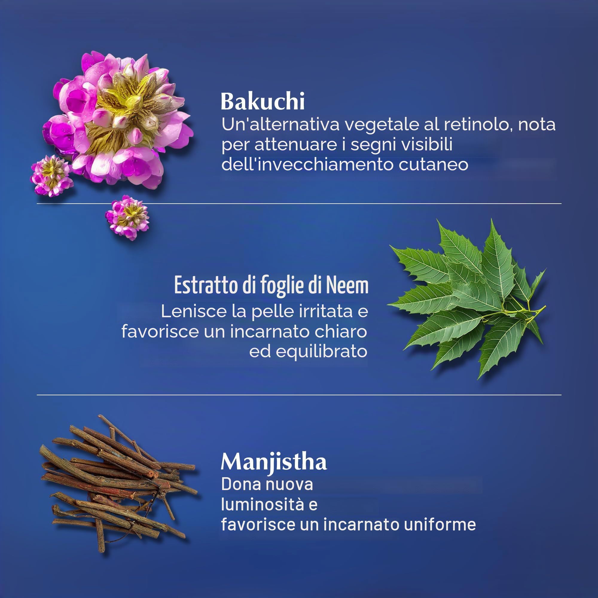Cerabuild - Crema viso e collo, idrata e leviga intensamente la pelle, crema barriera per la pelle infusa con fitoceramide con olio di Bakuchi e chebula, rimpolpante, rassodante, vegana, 50 g