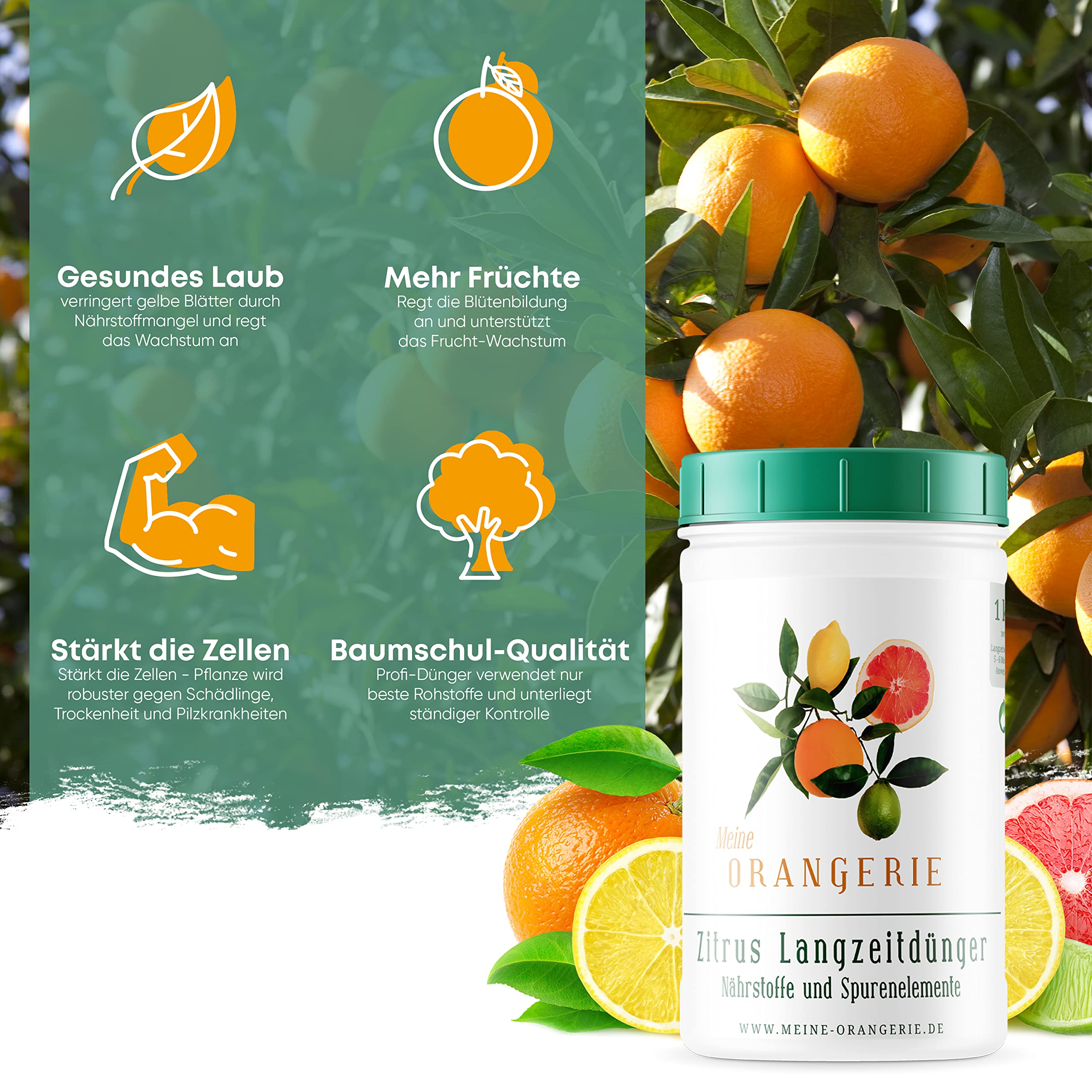 Meine Orangerie - Langzeit-Zitrusdünger [1kg] - Profi Zitruspflanzendünger - Gleichmäßige Langzeit-Wirkung für 6 Monate - Langzeit Zitrusdünger für Citruspflanzen und mediterrane Pflanzen