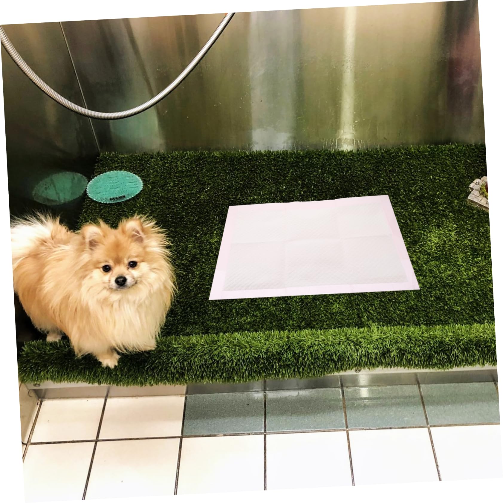 ibasenice 100piezas Tapete De Entrenamiento para Mascotas Empapadores Desechables para Cachorros y Gatos Empapadores para Orinales para Perros Pequeños Interiores para Entrenamiento De