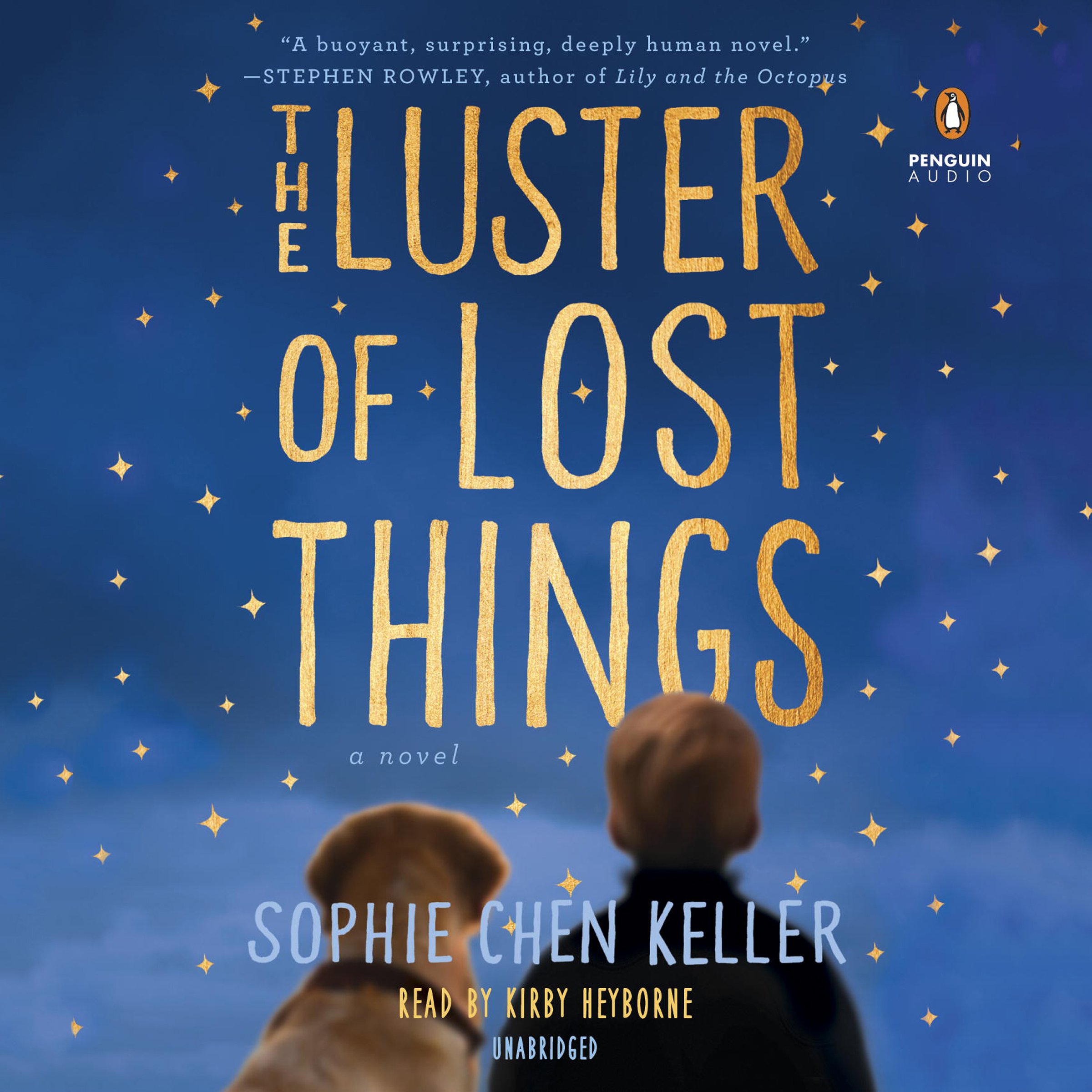 Cover art for The Luster of Lost Things