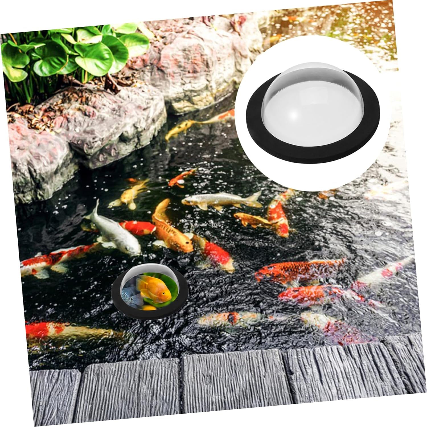 balacoo 5pcs Aquarium Floating Fish Dome for Acrylic Fish Tank Cover Protection for