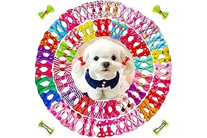 80-Count Dog Hair Bows: Adorn Your Pup in Style