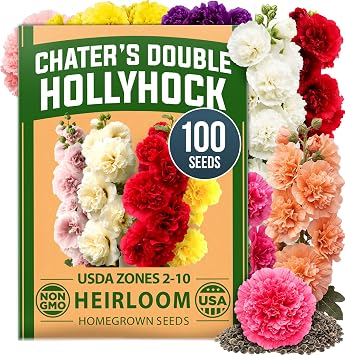 HOME GROWN Hollyhock Chaters Double Mix 100 Seeds 0.9g Biennial Blooms Year 2, Double Flower Hollyhock Seeds for Planting, Perennial Reseeding, Cottage Garden, USDA Zones 39 Alcea rosea