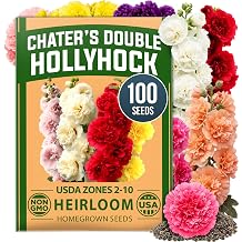 HOME GROWN Hollyhock Chater's Double Mix 100 Seeds 0.9g Biennial Blooms Year 2, Double Flower Hollyhock Seeds for Planting, Perennial Reseeding, Cottage Garden, USDA Zones 39 Alcea rosea