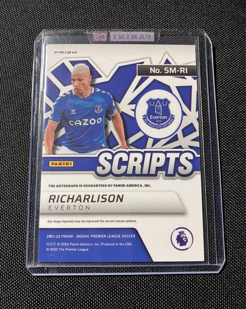 Amazon.co.jp: panini mosaic リシャルリソン サインカード