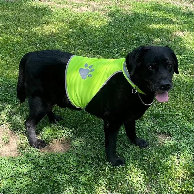 Foto 5 de 7 de Chaleco Reflectante De Seguridad para Perros - Chaleco para Perros De Alta Visibilidad para La Noche