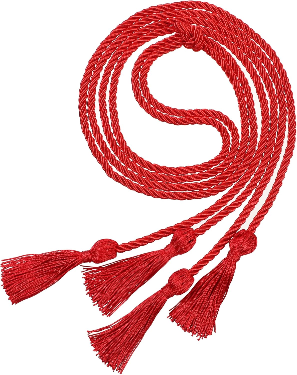 Amazon.com: Gradwow Graduation Double Honor Cords with Tassels Braided ...