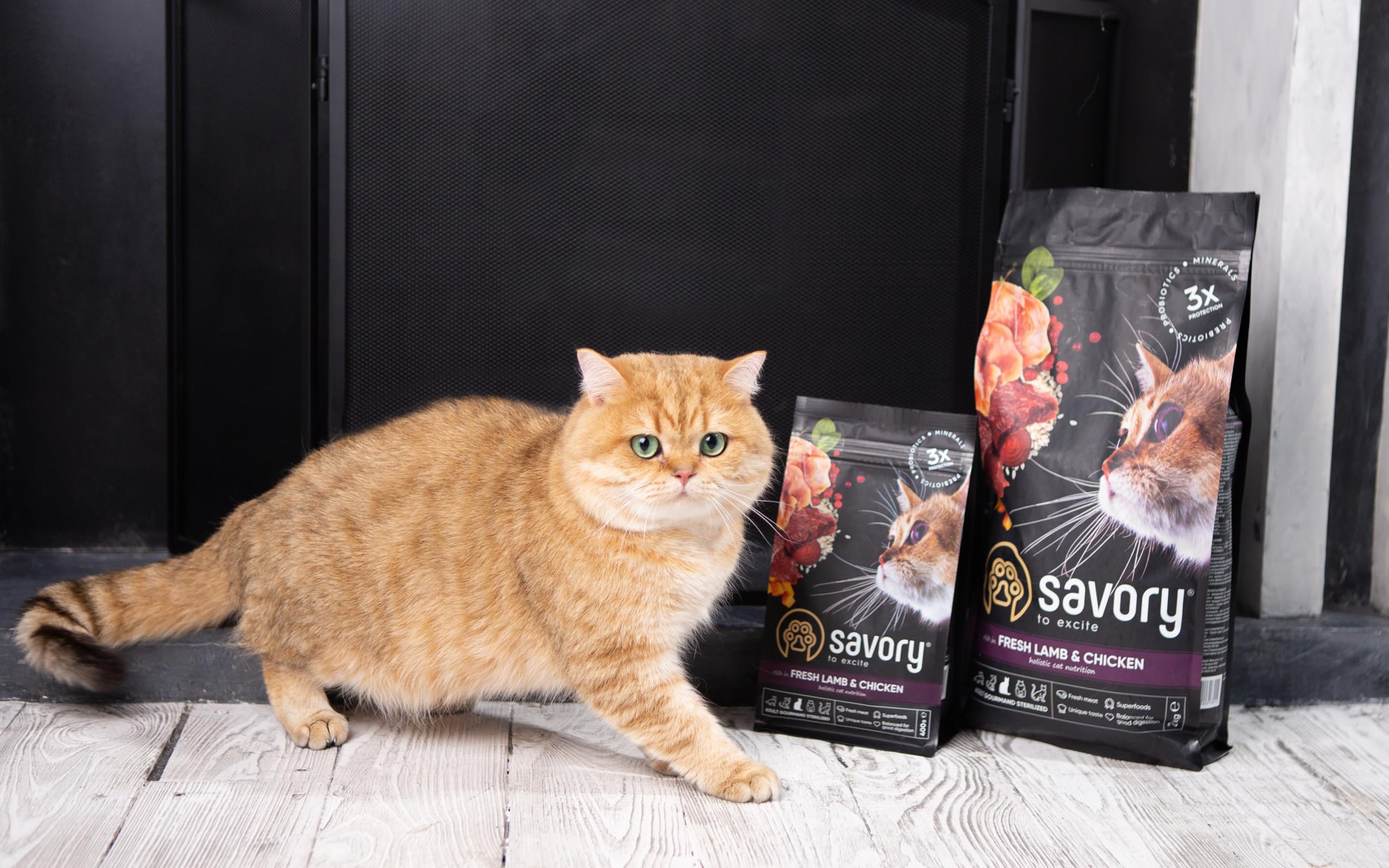 Savory - pienso seco para Gatos - para Gato Adulto esterilizado - Cordero y Pollo Frescos - a Base de Carne Fresca deshidratada, con Vit. A, D3, E - 2-Paquete (2x2 kg)