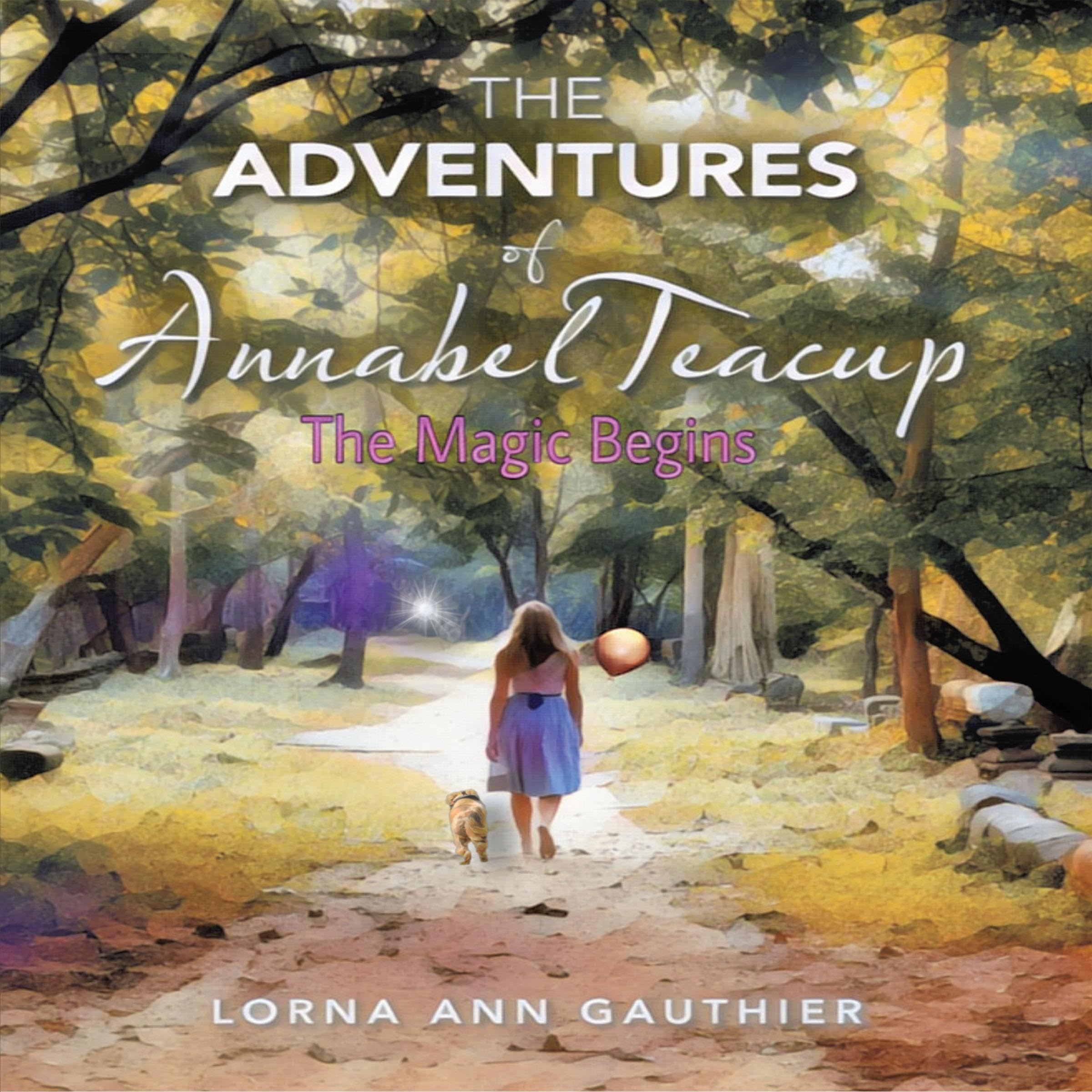 Cover art for The Magic Begins