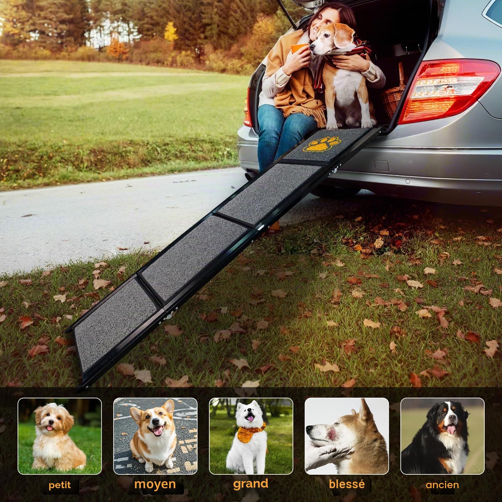 Rampe pliable pour chiens de grande taille 170 cm avec tapis antidérapant pour voiture SUV