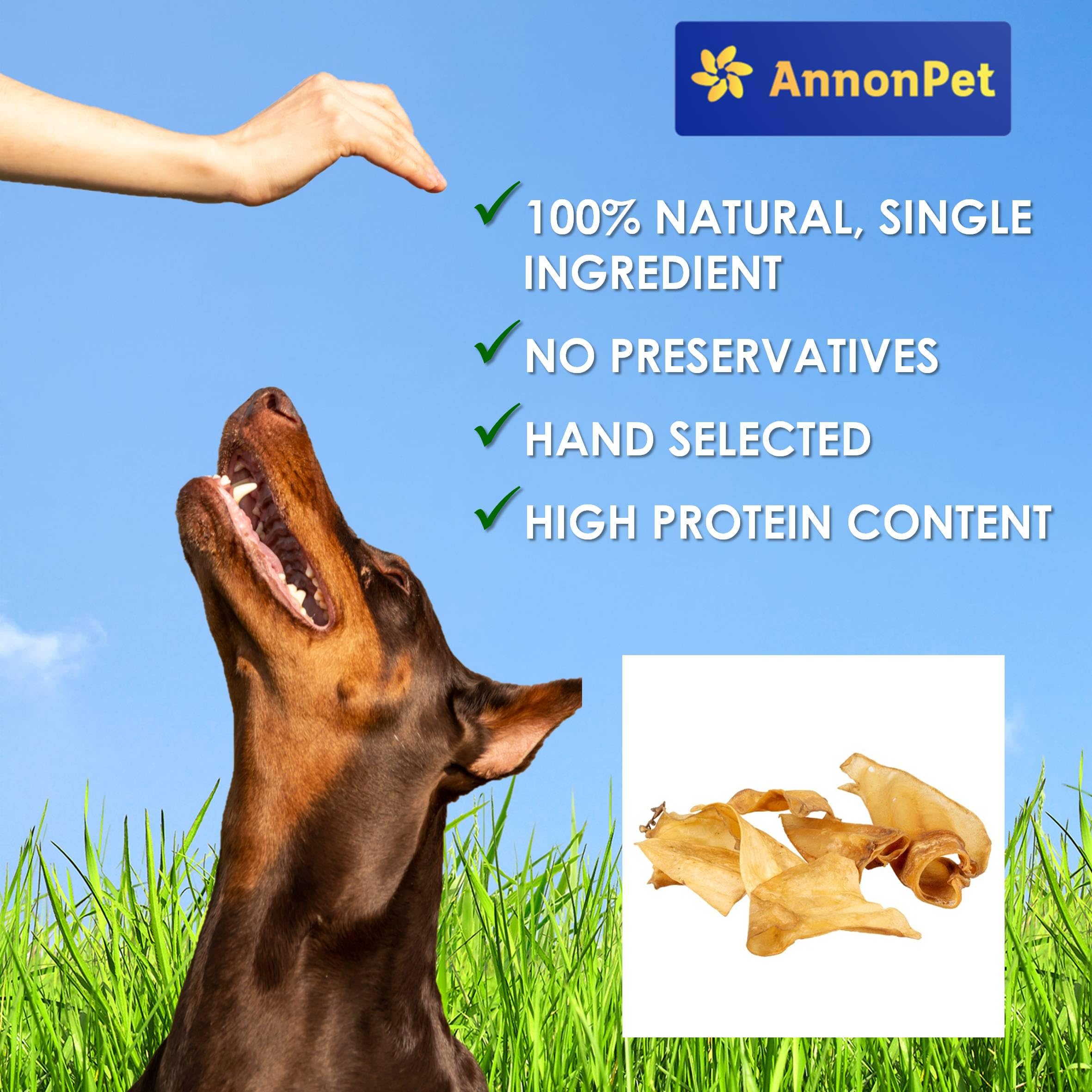 Lot de 10 oreilles de bœuf séchées pour chiens - Articles à mâcher naturels et faciles à digérer - Riche en protéines, sans additifs - Idéal pour les soins dentaires et la réduction du stress