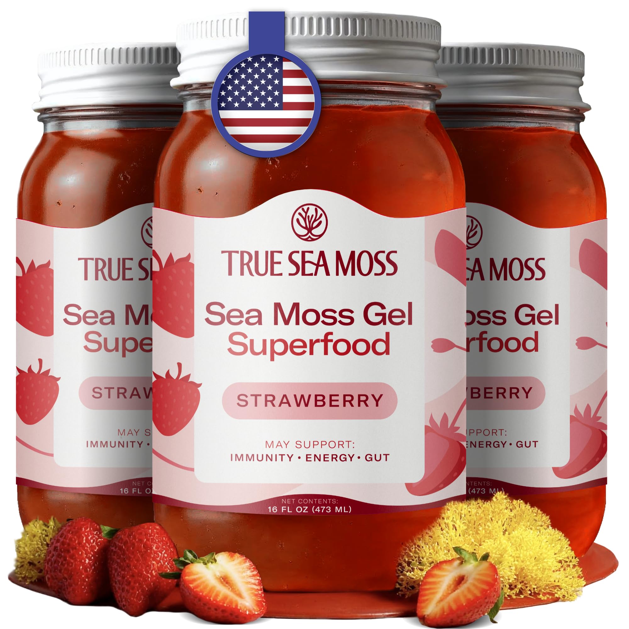 TrueSeaMoss Sea Moss Gel – Made in USA – Wildcrafted Seamoss, Fruits & Jarred Vegetables – Strawberry, Pack of 3 (Labels may Vary)