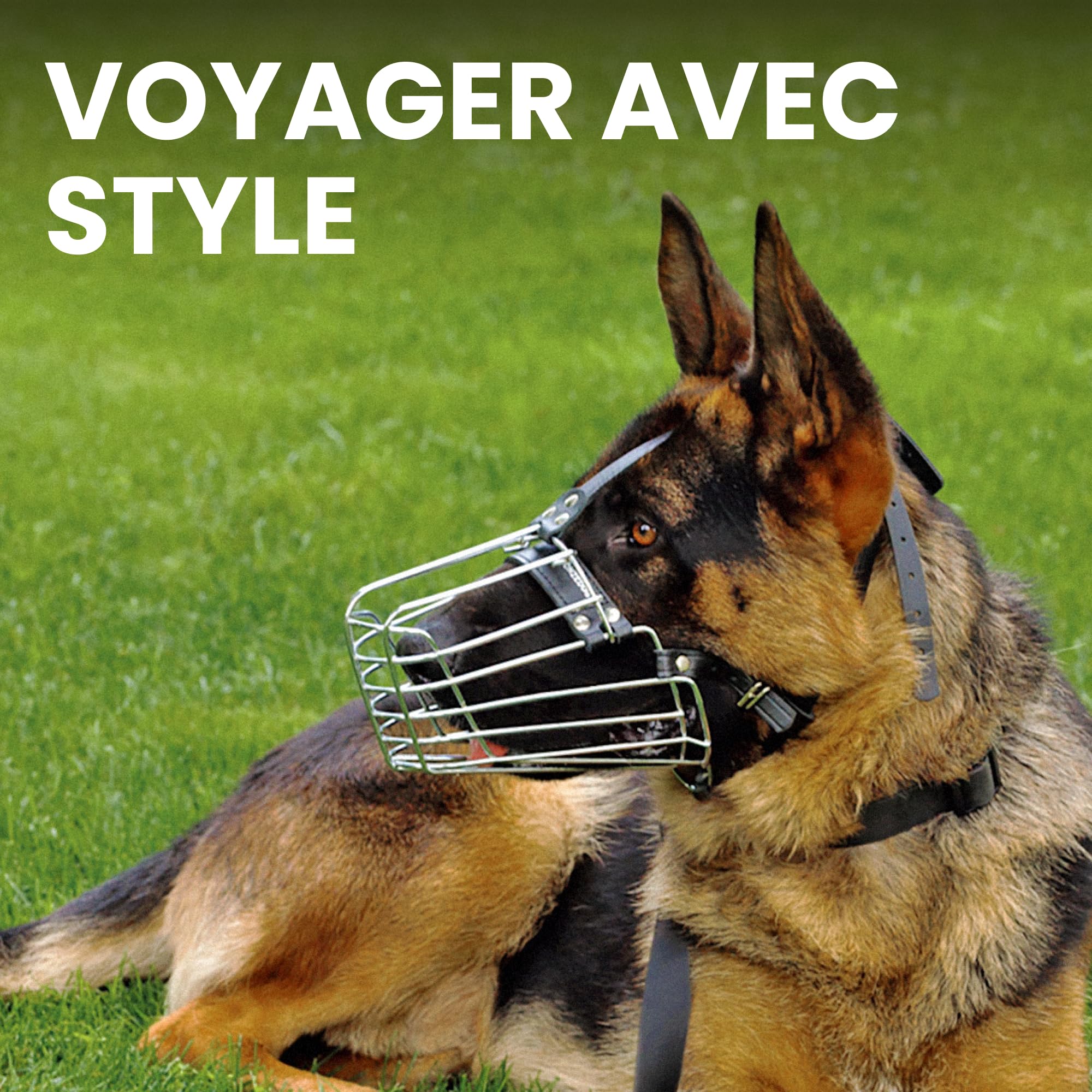 BRONZEDOG Muselière pour Chien en Fil de Fer - Berger Allemand pour Chiens de Taille Moyenne et Grande - Panier en métal Durable pour Mordre, mâcher et aboyer (L)