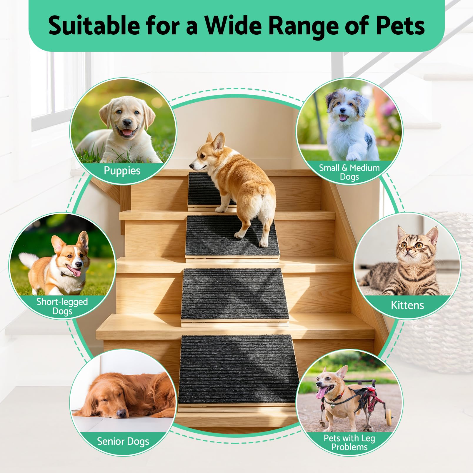 Lot de 4 rampes pour chien, réglables en hauteur, avec surface de tapis antidérapante et rembourrage, en bois, pour petits et grands chiens