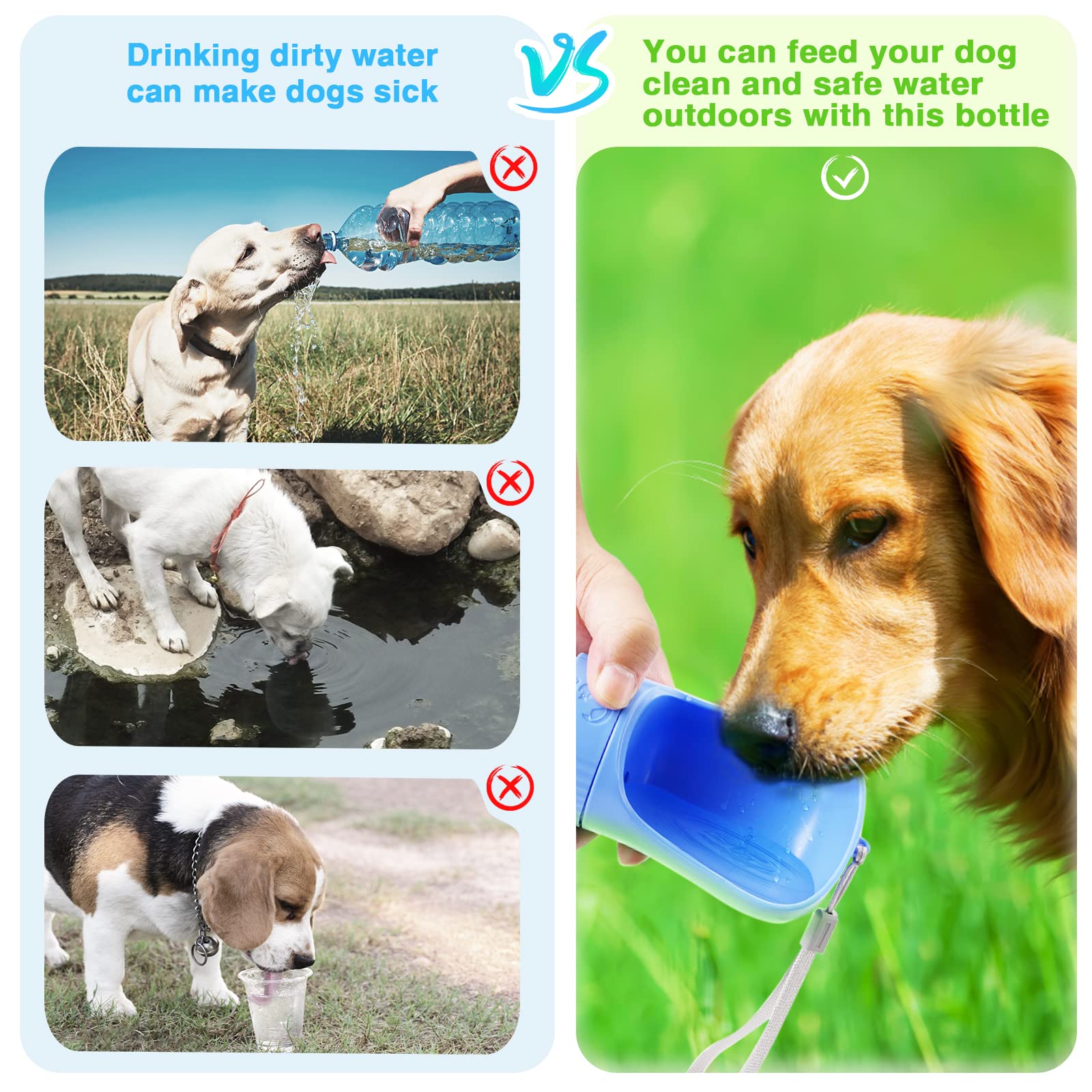 Why Does My Dog Drink Dirty Water