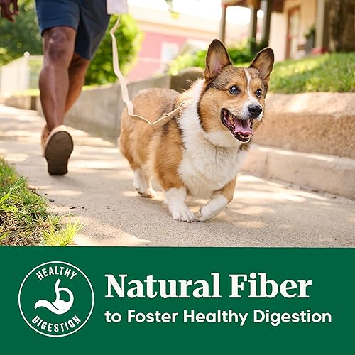 Miniatura 4 de NUTRO NATURAL CHOICE Alimento seco natural para perros adultos pollo