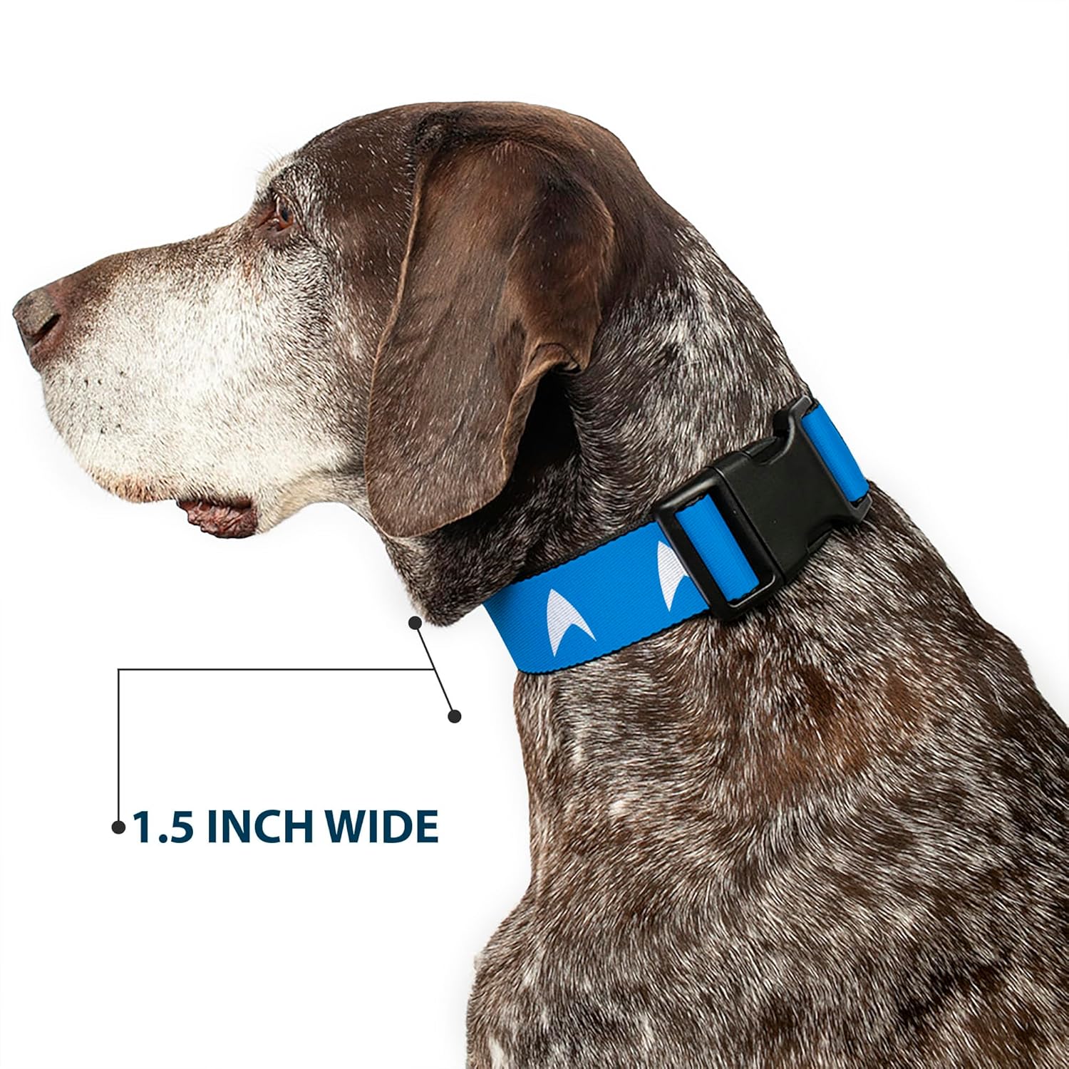 CBS Studios Inc. Pet Collar, Dog Collar Plastic Buckle, Star Trek Starfleet Insignia Blue White, 13 to 17 Inches 1.5 Inch Wide