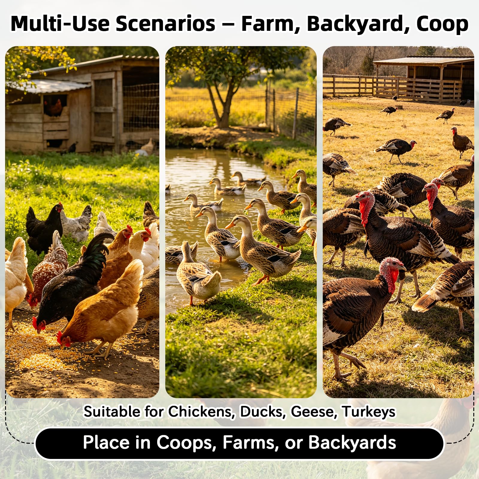 Comedero Gallinas Anti Ratas Antipajaros, Comedero Automático Gallinas de 12KG, Doble Cara con Pedal, Acero Inoxidable, para Pollos, Patos y Gansos, para Exterior/Gallineros/Granjas/Patios