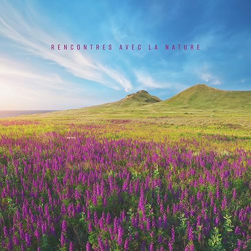 Foret Apaisante By Zone De La Nature Pure On Amazon Music Amazon Com