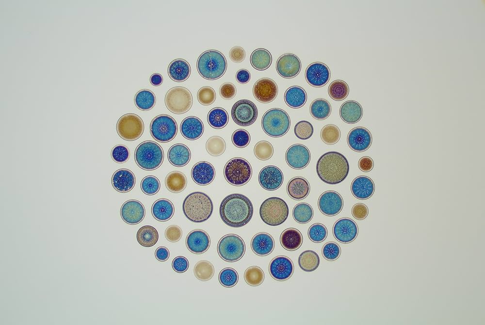 珪藻美術館 = Diatoms Art Museum 珪藻美術館 Diatoms Art Museum | 奥修 |本 | 通販 | Amazon