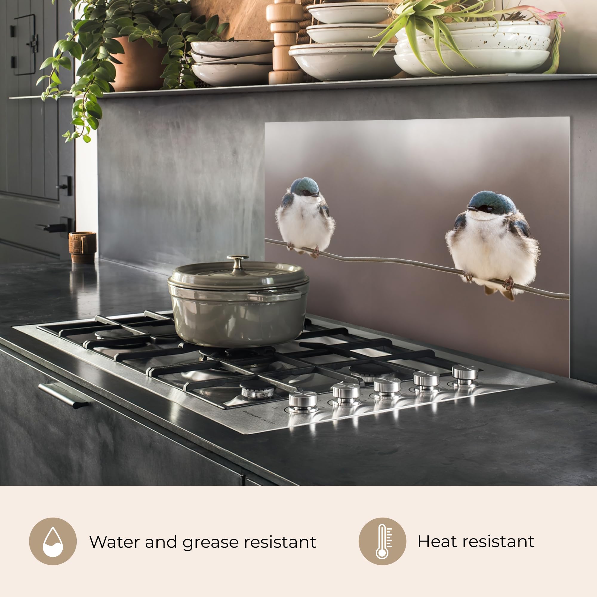 KitchenYeah© Paraschizzi Cucina Adesivo 60x90 cm Pannello Parete per Paraspruzzi Adesivi Muro Uccelli - Animali - Filo - Ritratto