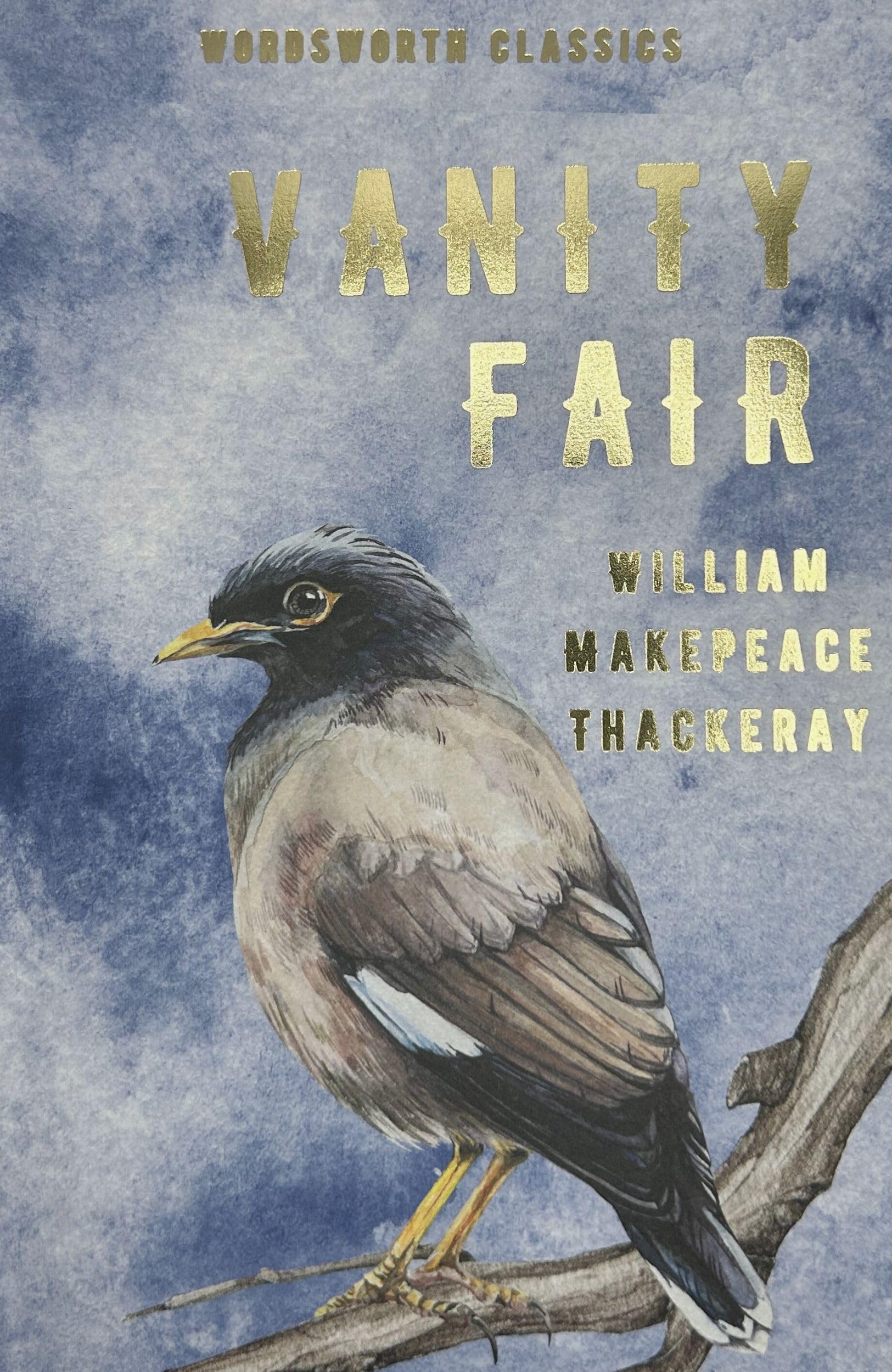 Vanity Fair by William Makepeace Thackeray PAPERBACK 9781853260193