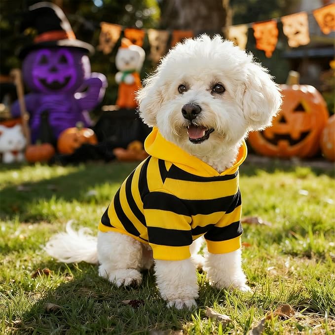 Disfraz de Abeja para Perros y Gatos Talla M - cnomg miniatura 2