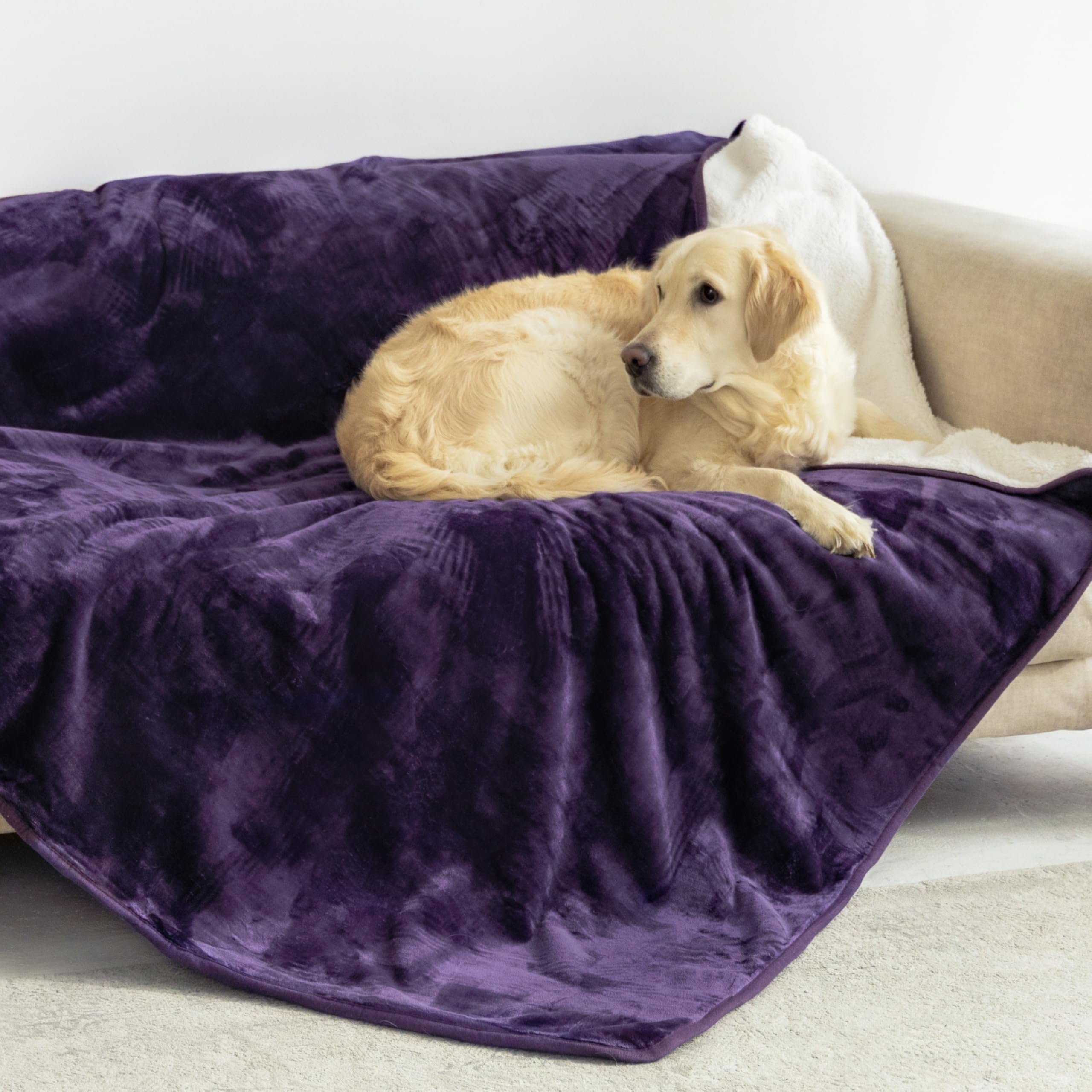 Dreamzie - Coperta Impermeabile per Cani - 127x152 cm - Viola | Copridivano Reversibile · Lavabile in Lavatrice · Pile Sherpa · Animali · per Letto, Divano e Auto · Extra Morbido