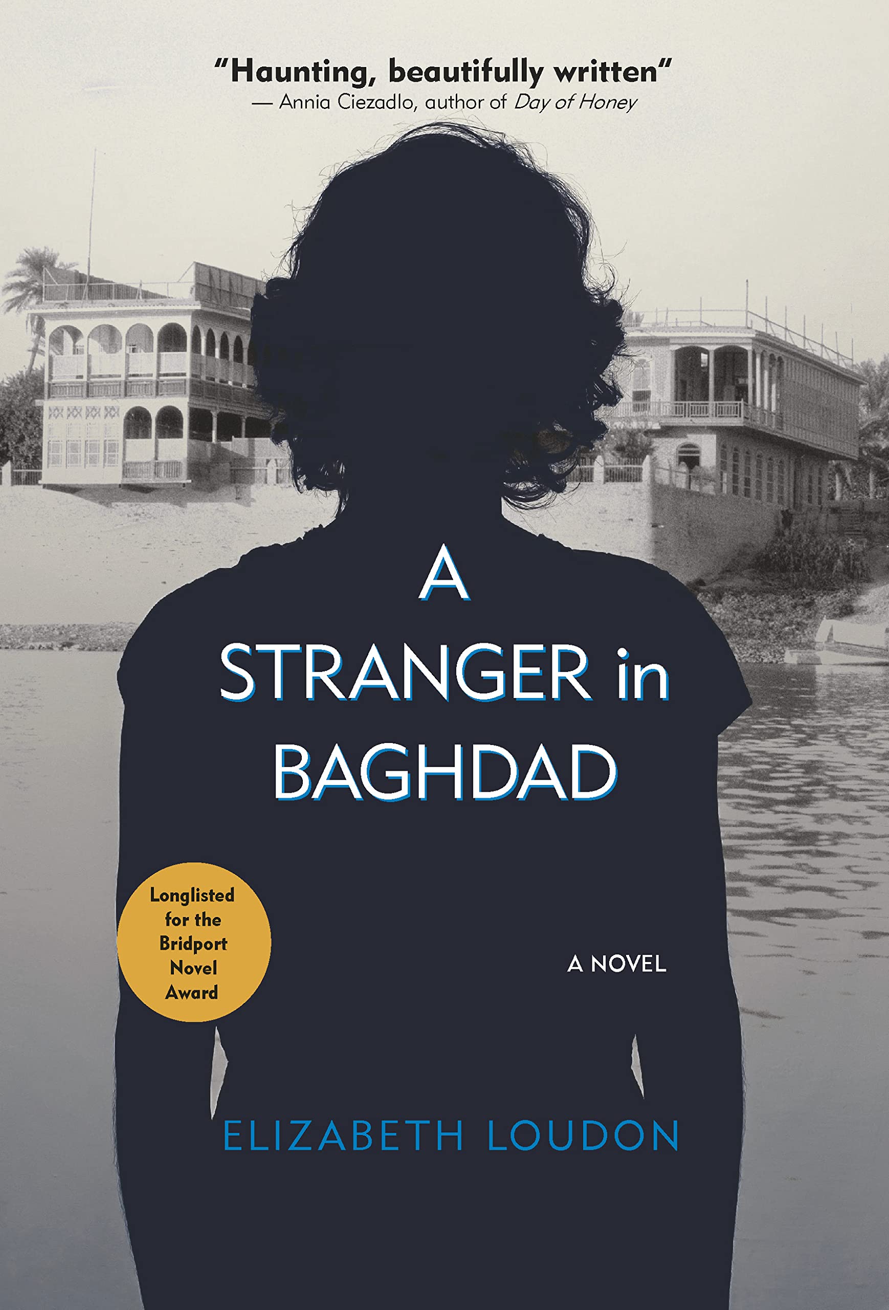 Buy A Stranger in Baghdad: A Novel (Hoopoe Fiction) — BookShops.in