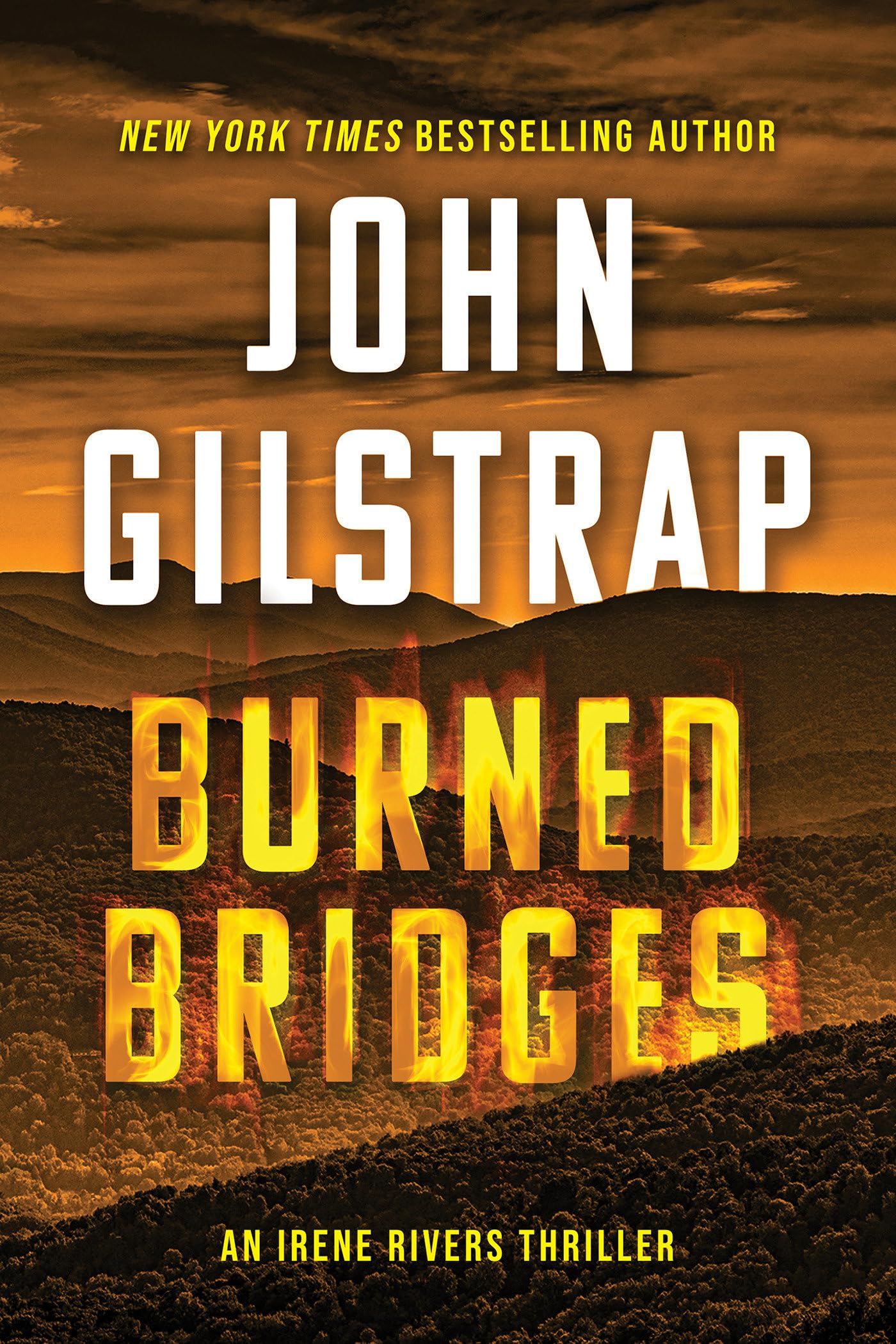Burned Bridges (An Irene Rivers Thriller, 1)