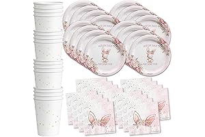 Some Bunny Birthday Party Supplies Easter Plates Kit