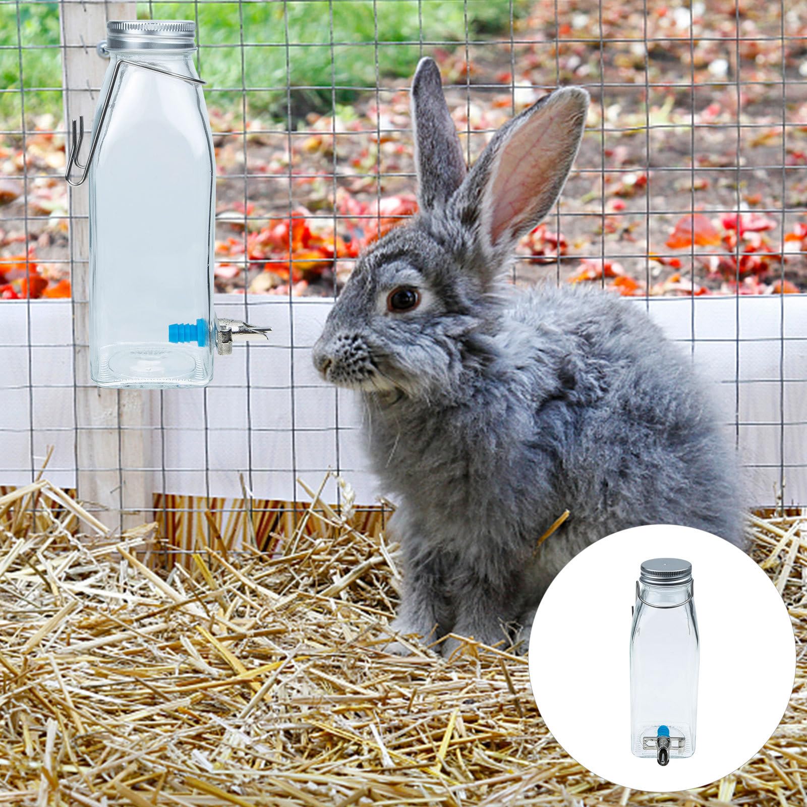 SOLUSTRE Hängende Wasserflasche mit Sicherem Bissschutz für Kleine Haustiere 350ml aus Glas und Platzsparendem Wasserspender für Kaninchen und Kleintiere