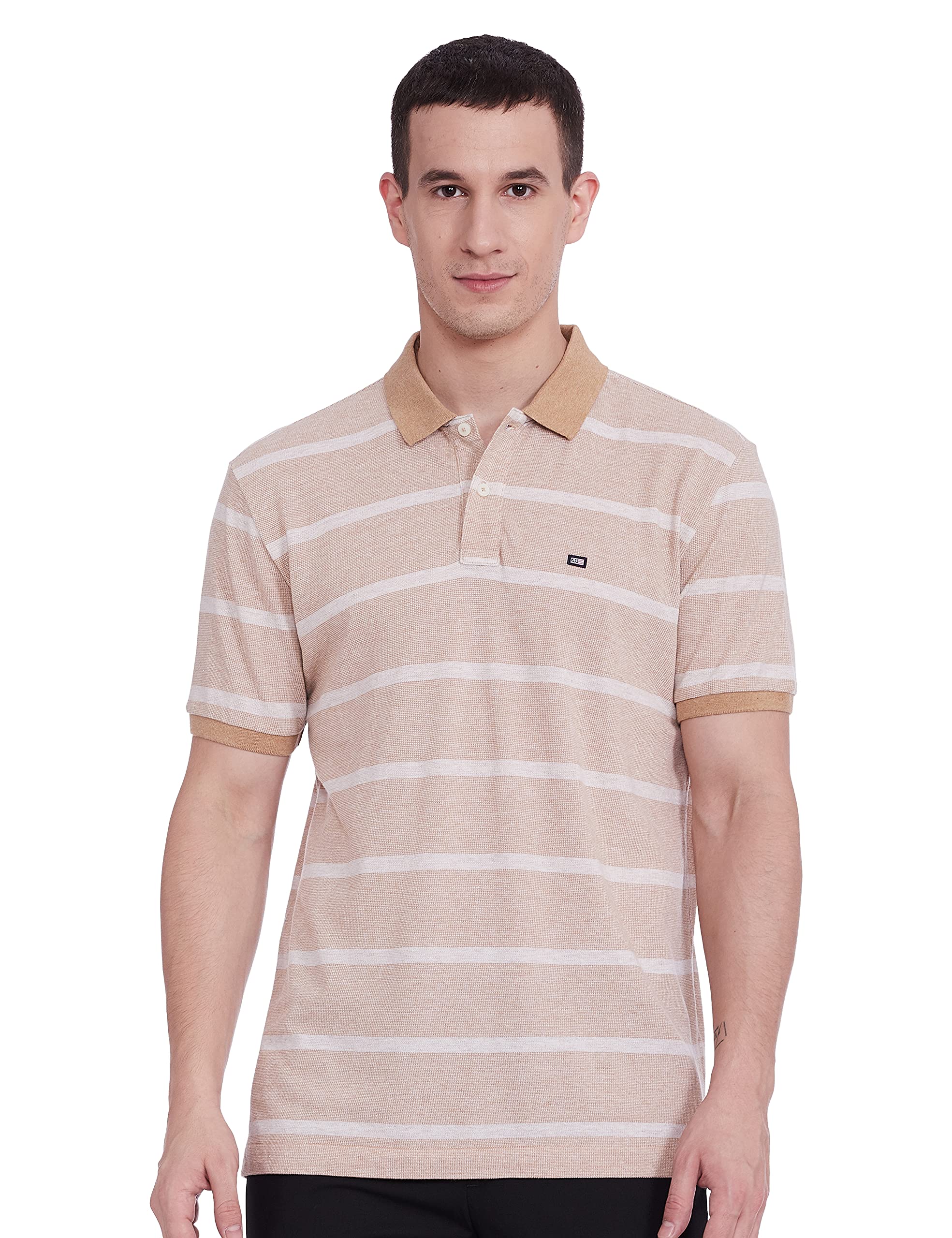 Arrow Men's Regular Fit Polo