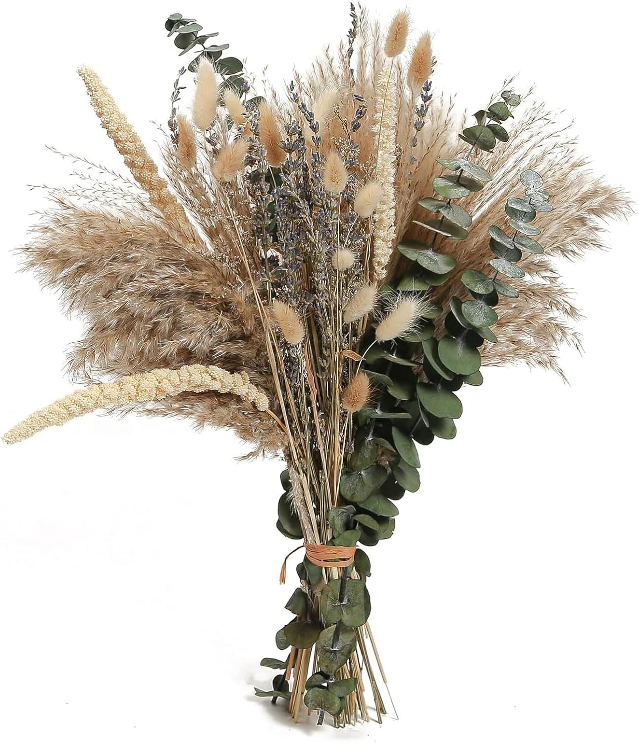 Lot de 10 Grandes Herbes de la Pampa Naturelles et moelleuses - Fleurs séchées - Décoration bohème d'automne