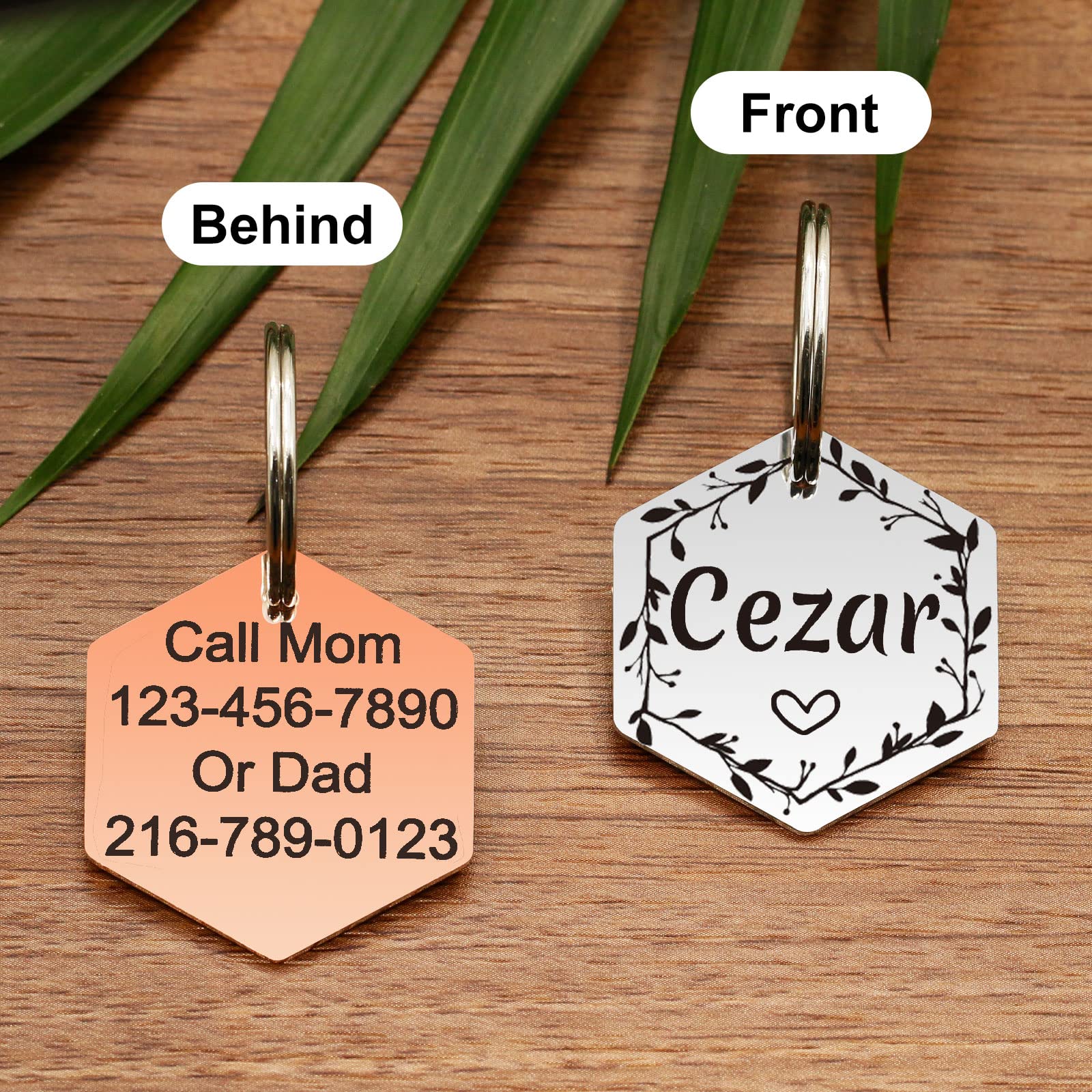 IO Tags – Médaille D'identification Double Face En Acier Inoxydable Gravée Au Laser Pour Chien En Forme D'os (cœur Avec Silencieux