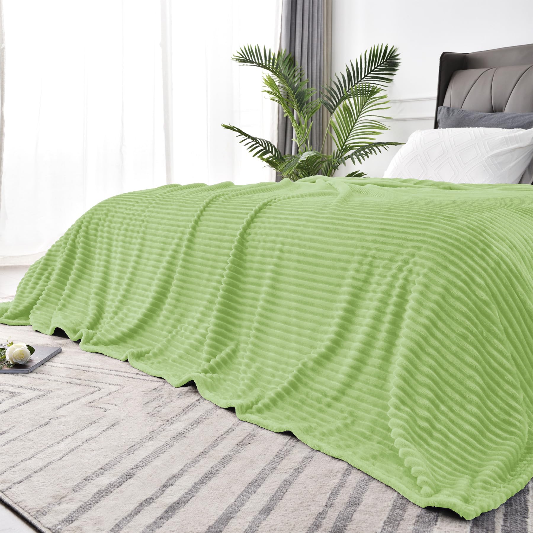 BEDELITE 3D Ribbed Jacquard Green Blankets Queen Size for Bed, 90x90 Inch | Soft Warm Decorative Fluffy Blanket, Cozy Fuzzy Lightweight Plush Fleece Throw Blankets for Bed, Room Decor, Gift for Women