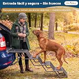 Ver la foto 2