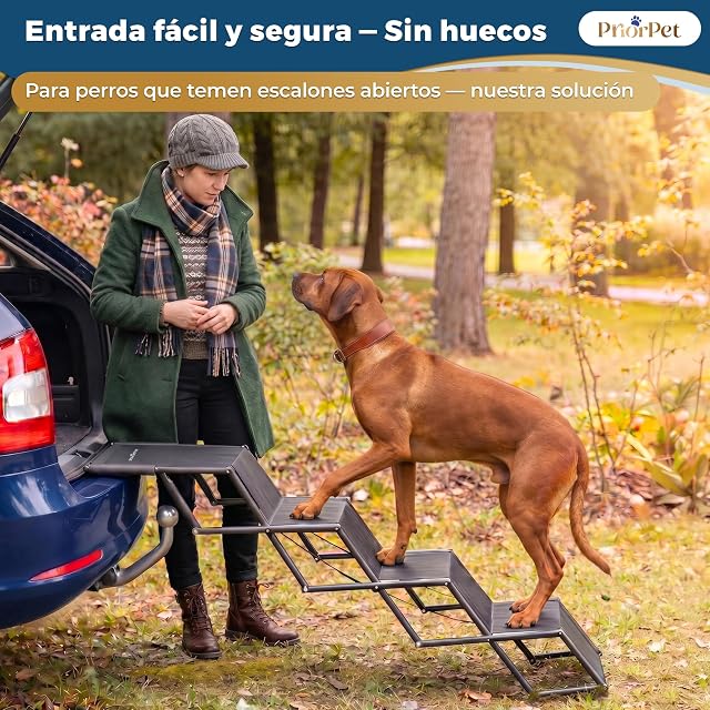 Foto 2 de 8 de Escalera para Perros Coche Plegable - Ligera y Ajustable 53–81 cm para SUV y Familiar - Alternativa a Rampa